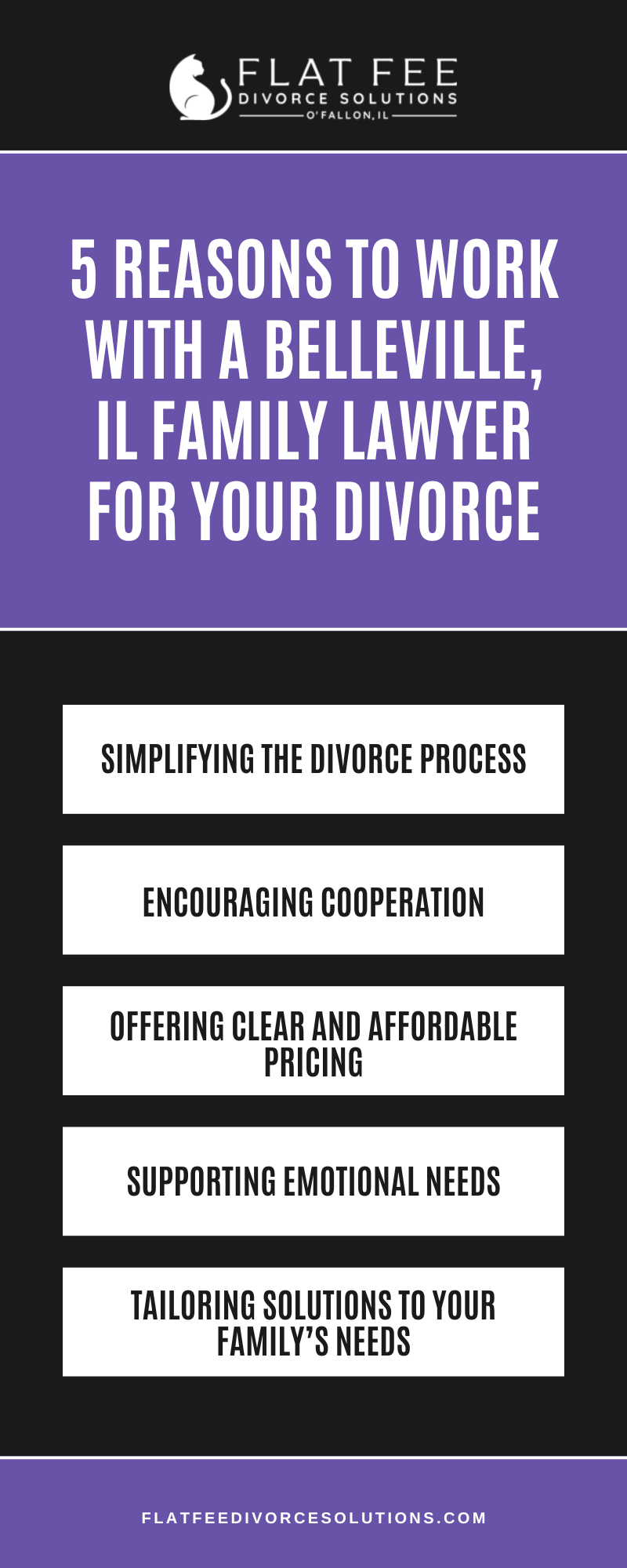 5 Reasons To Work With A Belleville, IL Family Lawyer For Your Divorce  Infographic